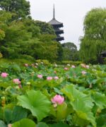 東寺（京都）