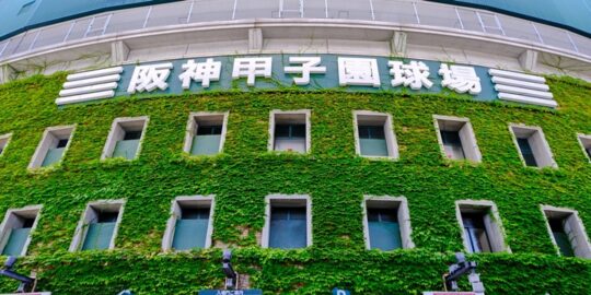 甲子園球場