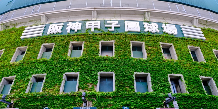 甲子園球場