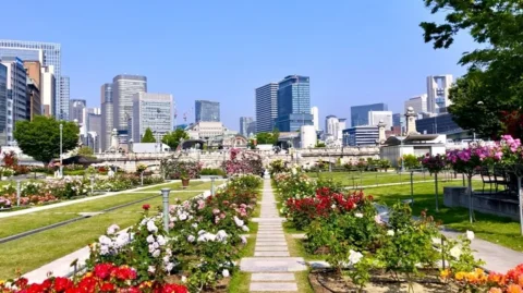 中之島バラ公園